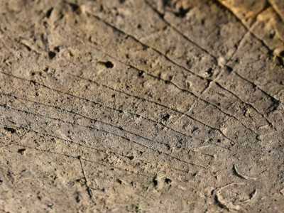...e una specie di griglia: si tratta forse di un calendario delle attivit� agricole